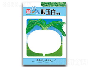 �n���-�}���N��-�d�߷N�I