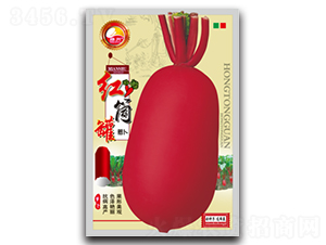 �tͲ��-�}���N��-�d�߷N�I