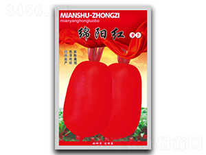 �dꖼt-�}���N��-�d�߷N�I