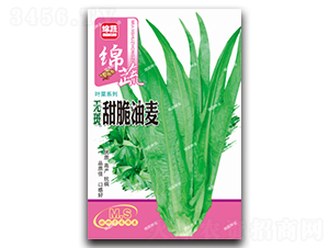 �o���������-�����˷N��-�d�߷N�I