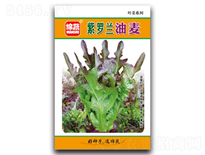 ���_�m����-�����˷N��-�d�߷N�I