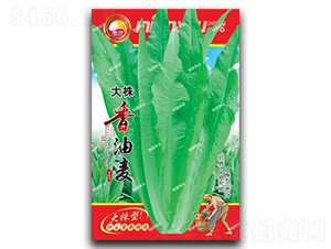 ����������-�����˷N��-�d�߷N�I