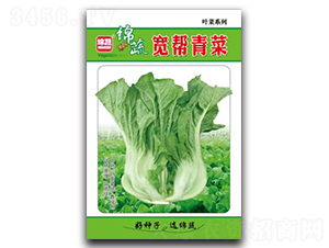 �������-��˷N��-�d�߷N�I(y��)