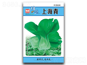 �Ϻ���-��˷N��-�d�߷N�I(y��)