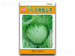 ������Ľ�-��˷N��-�d�߷N�I(y��)