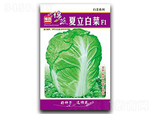 �����ײ�-�ײ˷N��-�d�߷N�I