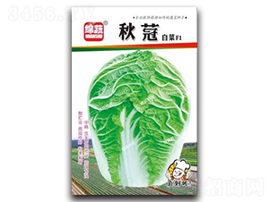 ���F-�ײ˷N��-�d�߷N�I