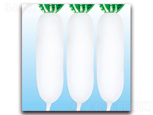 �����̖-�}���N��-��֮�W