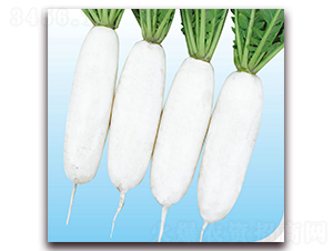 ������-�}���N��-��֮�W