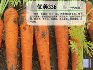 ����336-�}���N��-��֮�W