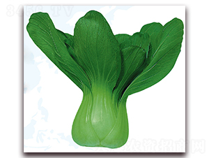 �۹�2̖-�ײ˷N��-��֮�W