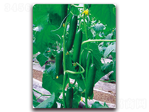 ���W7̖(h��o)-�S�ϷN��-��֮�W