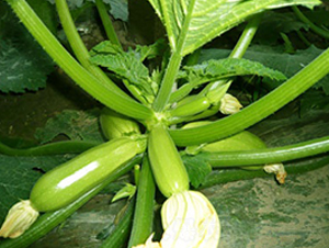 ������-�����J�N��-����r�I