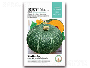 板栗TL904-南瓜種子-歆天綠