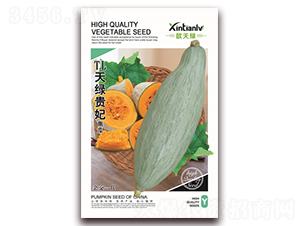 TL天綠貴妃南瓜-南瓜種子-歆天綠