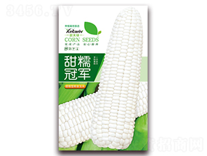 甜糯冠軍-甜糯玉米種子-歆天綠