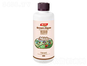 褐藻寡糖復合原液-褐藻硼-豐華肥業