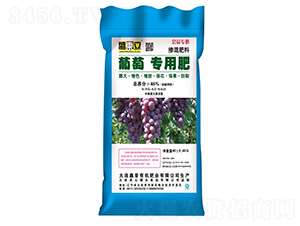 ���ь��÷�16-8-22-ʢ�|��-����