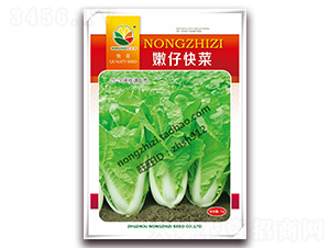 ���п��-�ײ˷N��-�r֮��