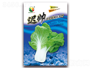 �t��-�t�ײ˷N��-�r֮��