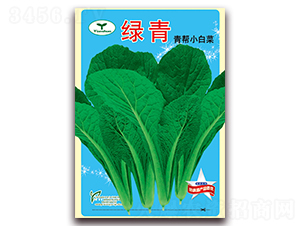 �G��-С�ײ˷N��-���ǷN�I