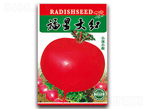 ���Ǵ�t-�}���N��-���ǷN�I