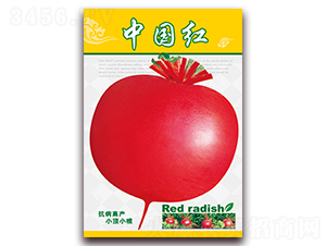 �Ї��t-�}���N��-���ǷN�I