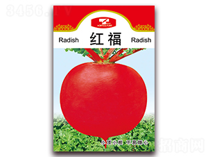 �t��-�}���N��-���ǷN�I