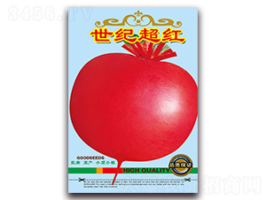 ���o���t-�}���N��-���ǷN�I