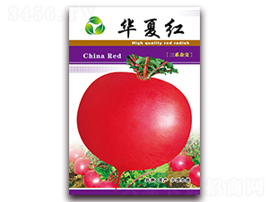 �A�ļt-�}���N��-���ǷN�I