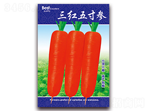 ���t��煢-�}���N��-���ǷN�I