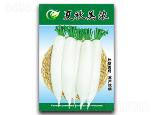 ��������-�}���N��-���ǷN�I