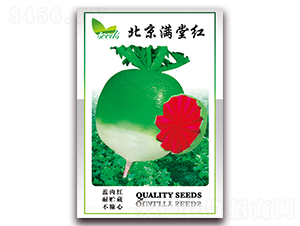 �����M�üt-�}���N��-���ǷN�I