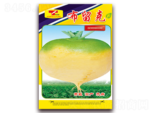 ������-�}���N��-���ǷN�I