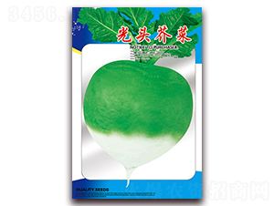 ���^���-�}���N��-���ǷN�I