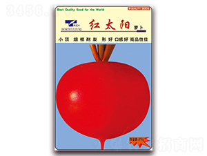 �t̫�-�}���N��-���ǷN�I