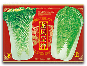 ���P����-�ײ˷N��-���ǷN�I