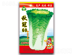 ���60-�ײ˷N��-���ǷN�I