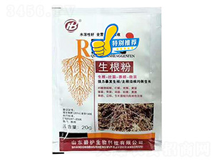 ������-���o����