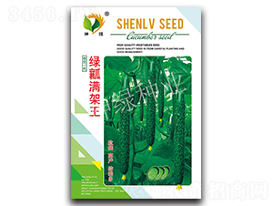 �Gȿ�M����-�S�ϷN��-�A��N�I