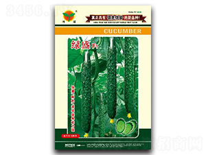 �GʢF1-�S�ϷN��-�A��N�I