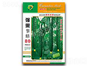 �������Y80-�S�ϷN��-�A��N�I