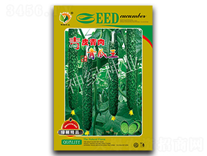 ��Ƥ���������-�S�ϷN��-�A��N�I