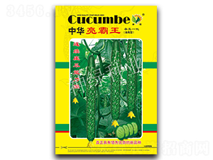 ���A������-�S�ϷN��-�A��N�I