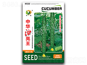 ���A������-�S�ϷN��-�A��N�I