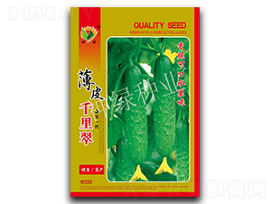 ��Ƥǧ���-�S�ϷN��-�A��N�I