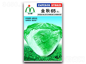 ����65-��ײ˷N��-���i