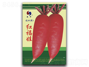 �t����-�}���N��-Ǭ���N�I