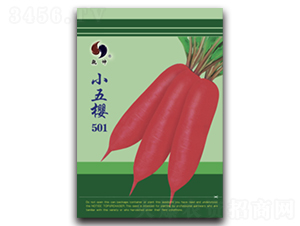 С���501-�}���N��-Ǭ���N�I