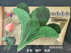 �ļ����-�ײ˷N��-Ǭ���N�I